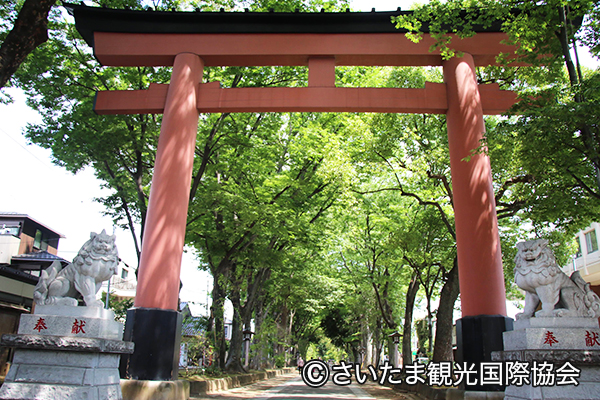 氷川参道