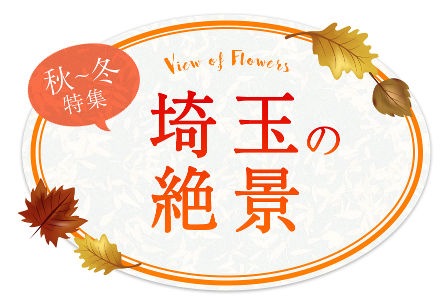 埼玉の花絶景 春〜夏