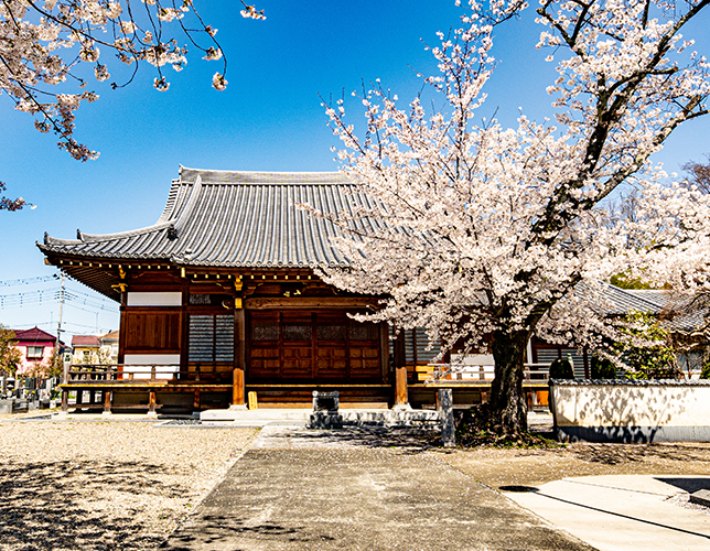 金剛寺